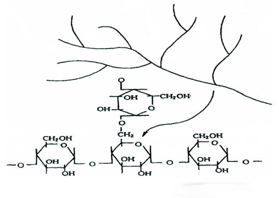 淀粉基分子結(jié)構(gòu)圖 淀粉基分子結(jié)構(gòu)圖