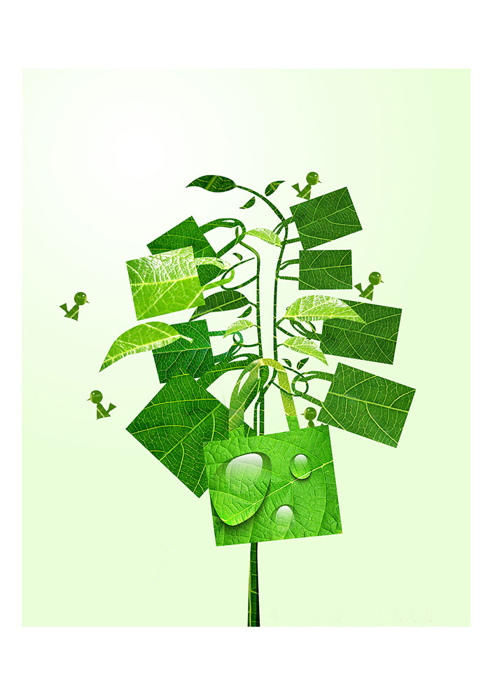 一花一世界，一個(gè)環(huán)保袋一抹綠