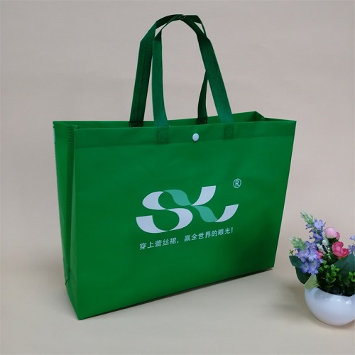 無(wú)紡布袋 (2).jpg